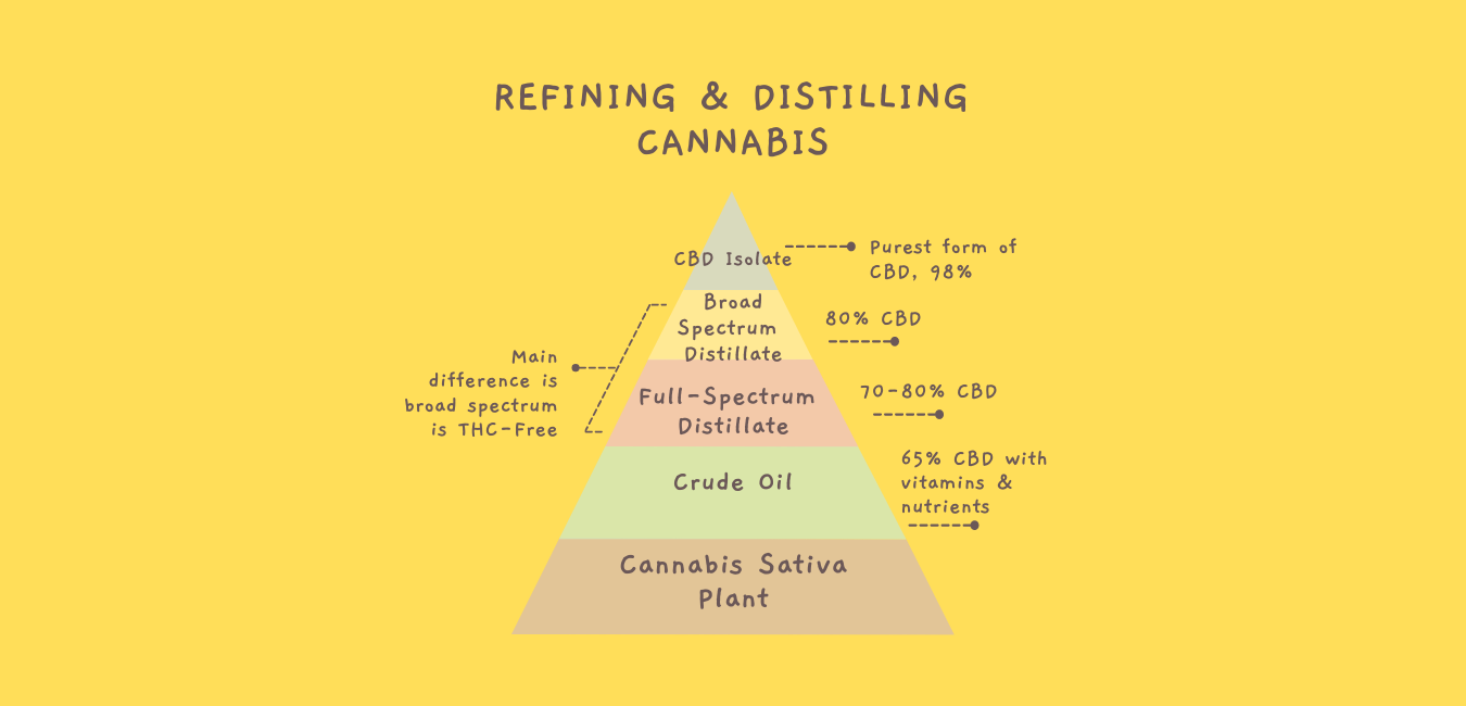 HOW WE GET FROM A CANNABIS PLANT TO CBD ISOLATE, AND EVERYTHING IN-BETWEEN